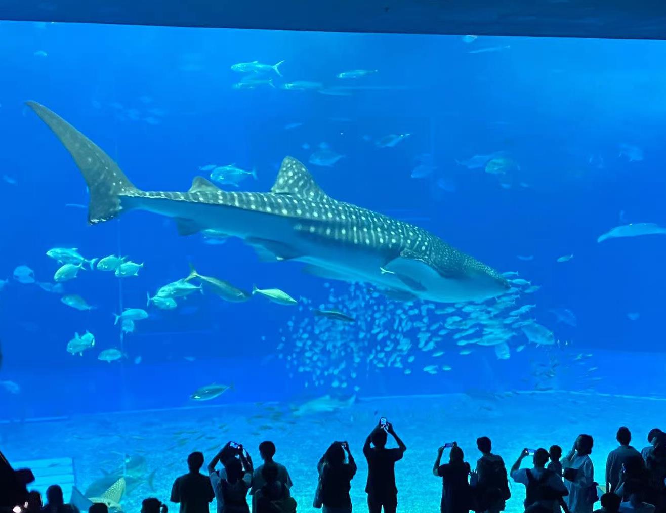 水族馆1